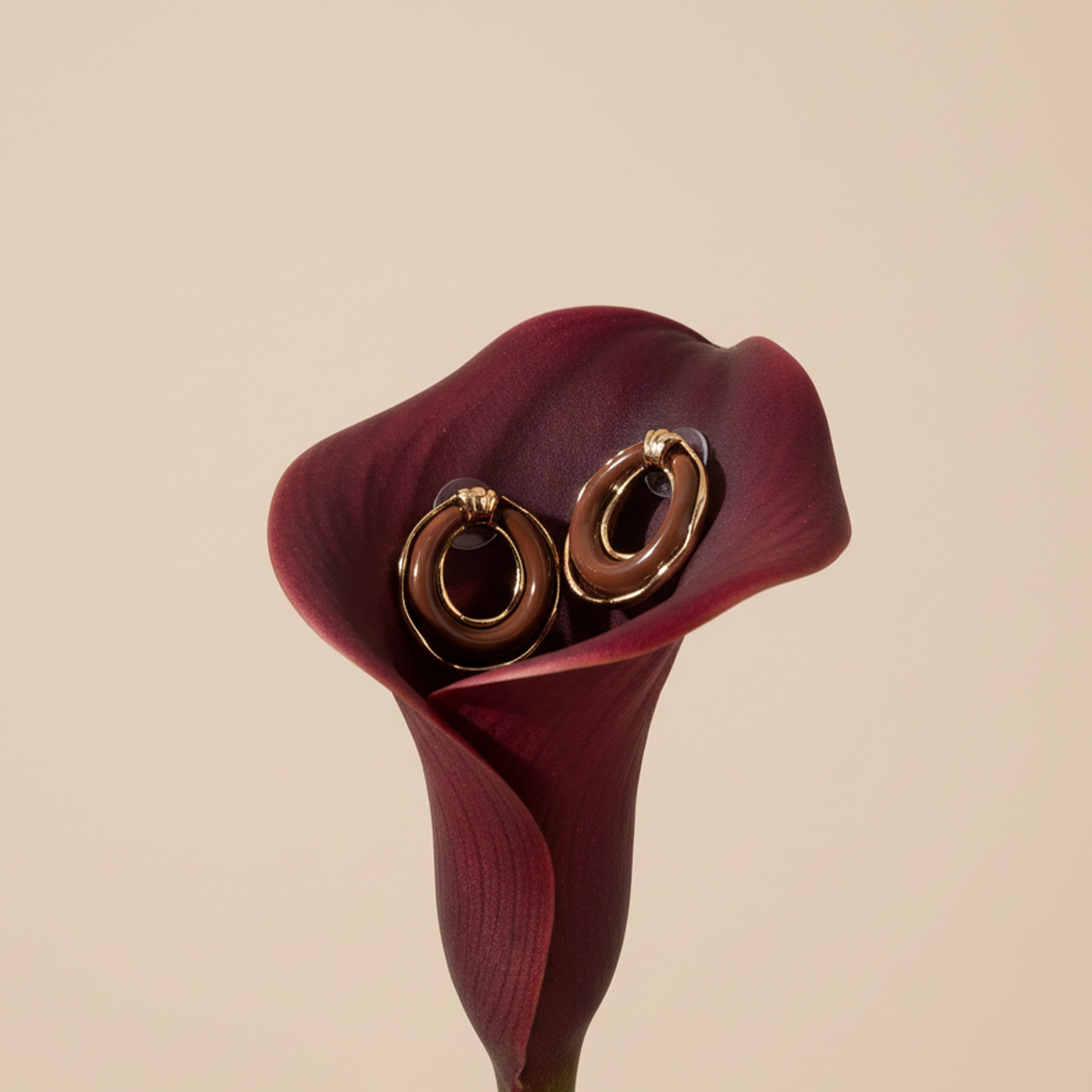 Gold & Brown Resin Earring