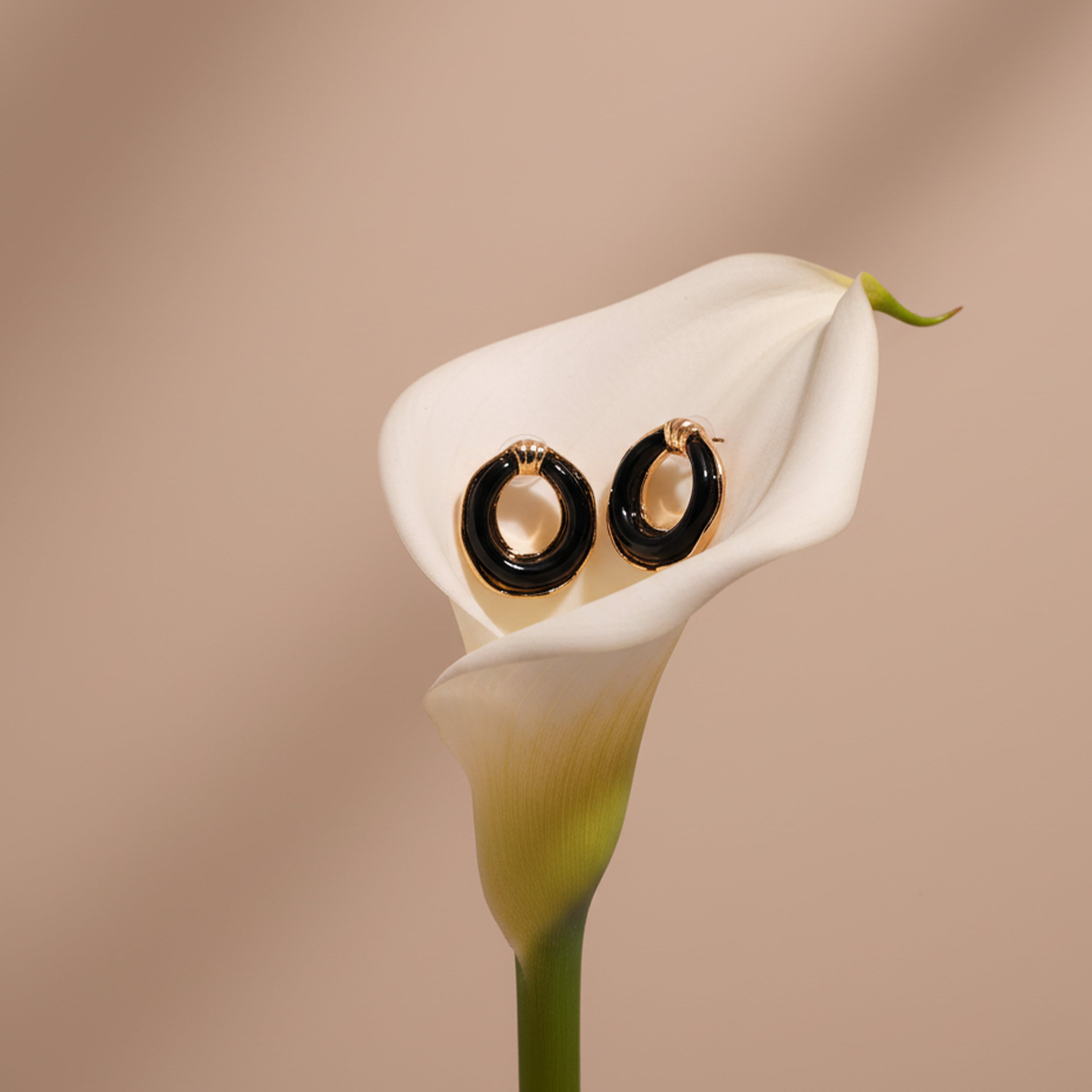 Gold & Black Resin Earring